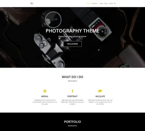 Pre-Made Website