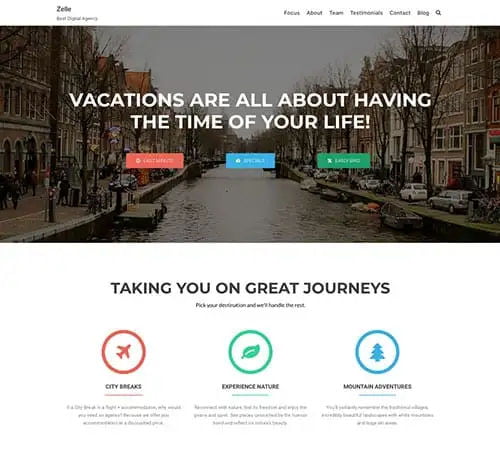 Pre-Made Website