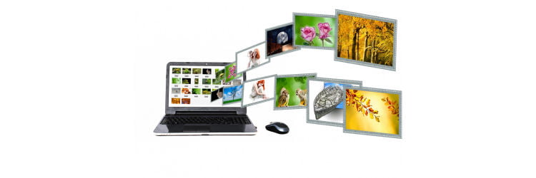 website traffic
