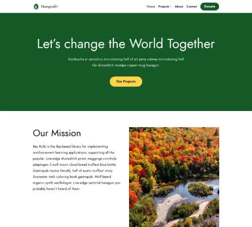 Non Profit Website Examples