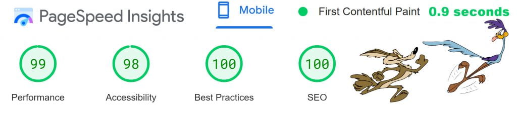 Fast Website Design
